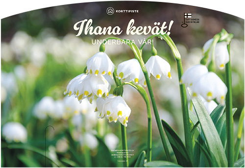 Telineopaste 39-55cm Maaliskuu 2026 FI SE