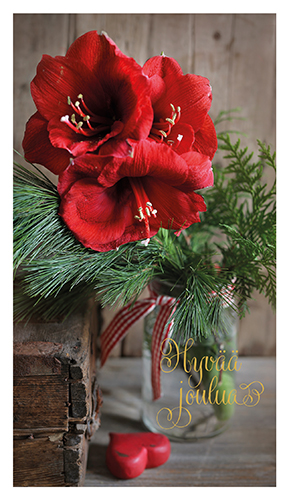 2-os joulu Sari Savela