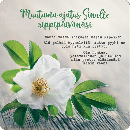 2-os rippi neliökortti 