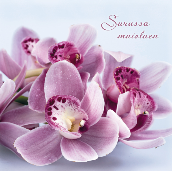 2-os adressikortti Orkidea Roosa nauha osanotto