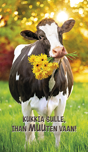 2-os hupikortti Avanti