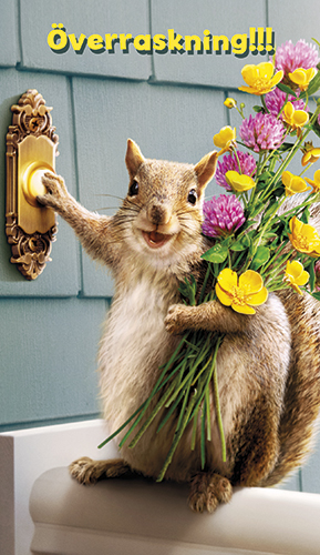 2-os hupikortti R Avanti