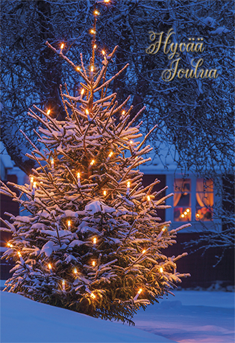 2-os joulu Muistiliitto PMM