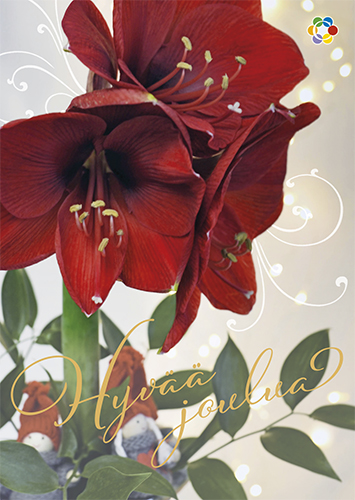 1-os joulu Syöpäpotilaat PMM Kati Pekkarinen