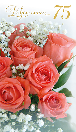 2-os vuosikortti 75v folionumero