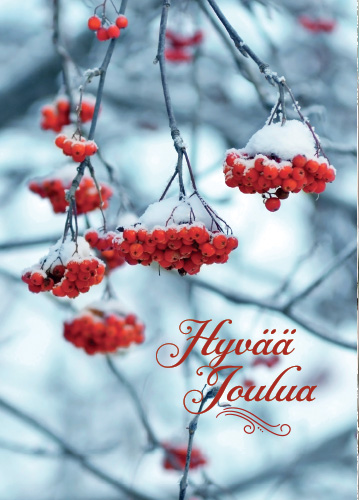 1-os joulu Unicef PMM