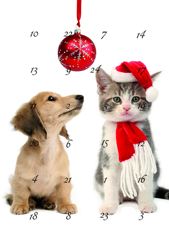 Joulukorttikalenteri CIL A6