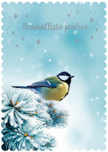 1-os joulu Unicef hyv.tek