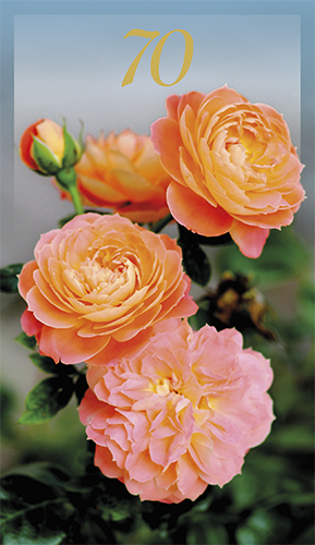 2-os vuosikortti 70v folionumero