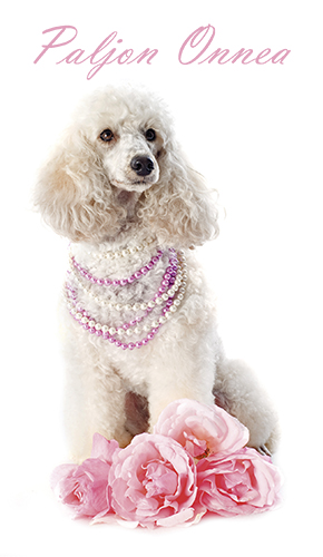 2-os onnittelu setelitasku