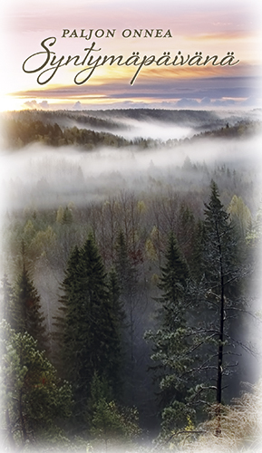 2-os Syntymäpäivä 