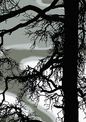 1-os kortti Vallila Kelohonka vihreä