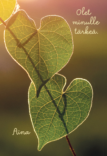 2-os kortti Mieli ry