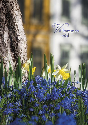 1-os kortti R kevät