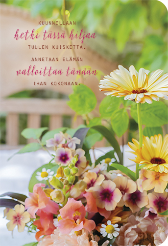 2-os kortti Ilona Pietiläinen