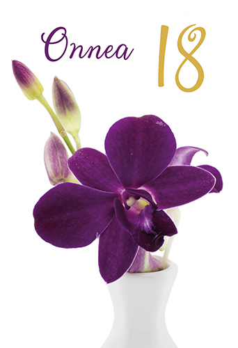 2-os vuosikortti 18v