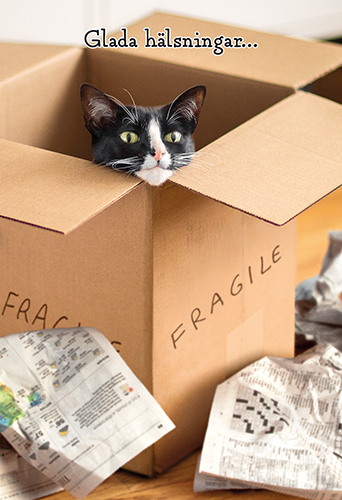 2-os hupikortti R Avanti