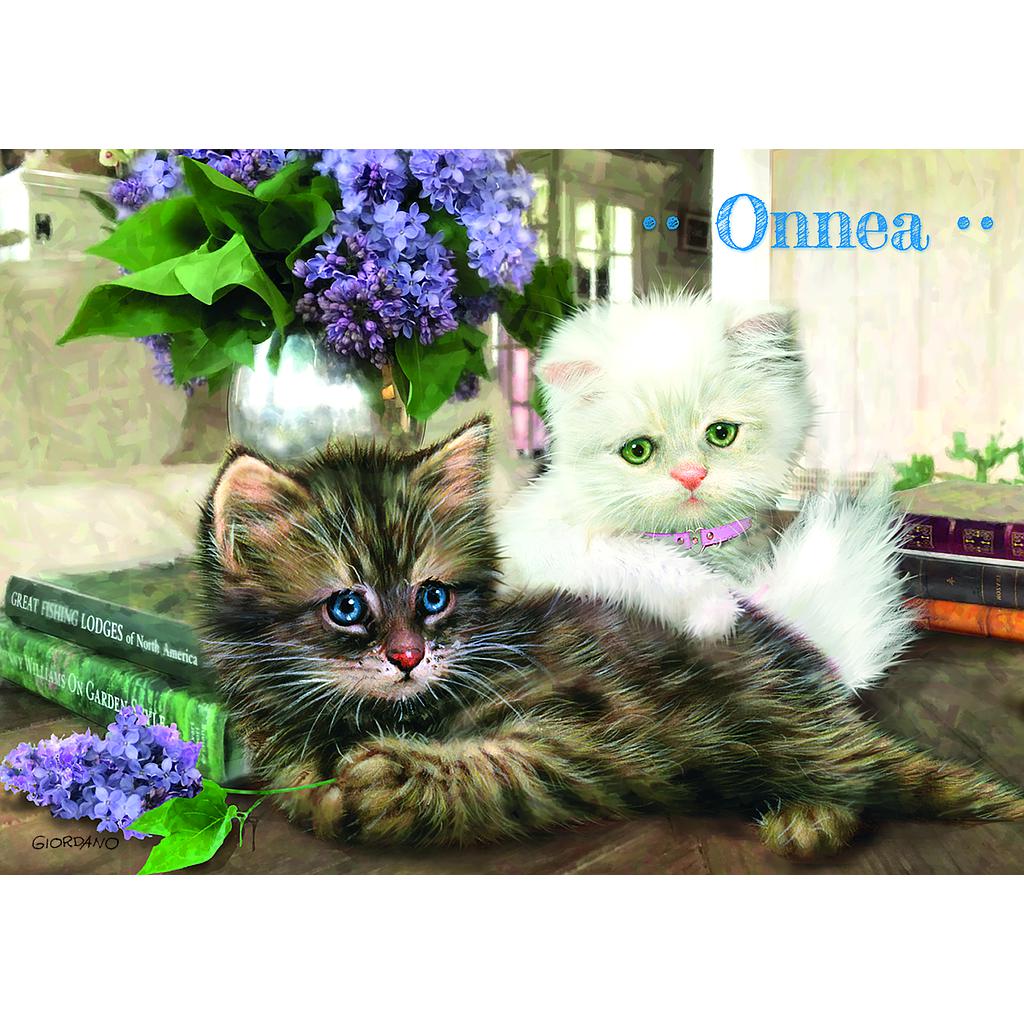 1-os lastenkortti Giordano