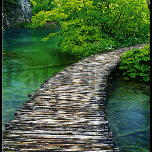 1-os Aquarupella Square 13,5 x 13,5