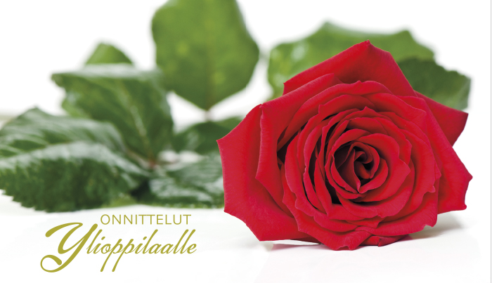 2-os Ylioppilas setelitasku