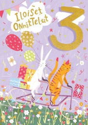 [47P00222] 2-os vuosikortti 3v