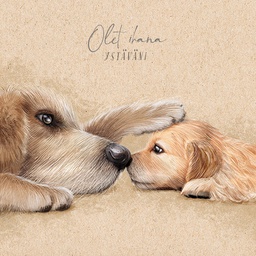 [51P0097] 2-os neliökortti