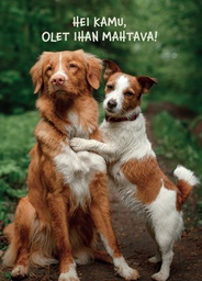 [27P00350] 1-os eläinkortti