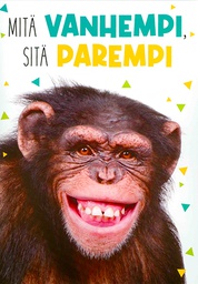 [51P0113] 2-os äänikortti 