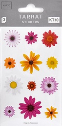[351300] Tarra KT10 flowers