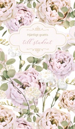 [27P4091] 2-os ylioppilas R Mainelakeus