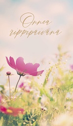 [23P7046] 2-os rippi