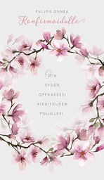 [237006] 2-os rippi Elisa Parto