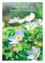 [27P00378] 1-os kevätkortti