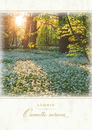 [317717] Suruadressi Niitty Sylva