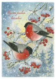 [117881] 1-os joulu Aila Utriainen