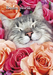 [3910141] 1-os hupikortti Avanti