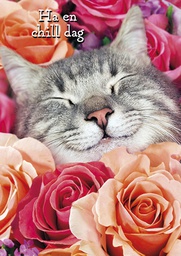 [3910149] 1-os hupikortti Avanti R