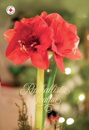 [29161] 2-os joulu SPR PMM