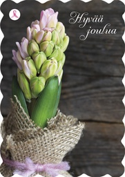 [29203] 1-os joulu Roosa nauha PMM