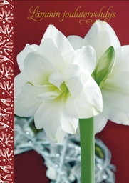 [29212] 1-os joulu Sari Gustafsson