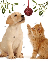 [315321] Joulukalenteri CIL A4