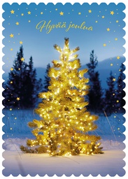 [29276] 1-os joulu Unicef hyv.tek