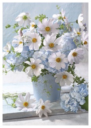 [2530234] 1-os kortti