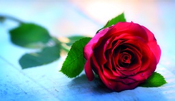 [1920072] 2-os onnittelu setelitasku