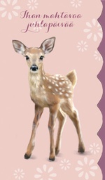 [49P00247] 2-os kortti Mainelakeus