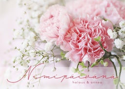 [2530012] 1-os nimipäivä