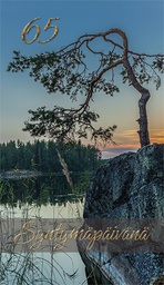 [1765015] 2-os vuosikortti 65v