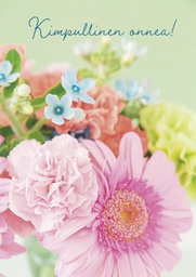 [25P20091] 1-os onnittelu