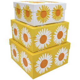 [6688014] Lahjarasiasetti Marimekko Kakkara