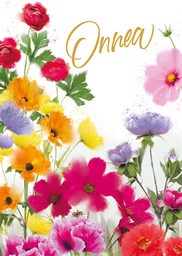 [2540180] 1-os onnittelu